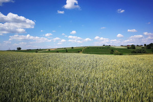 Działka na sprzedaż 8800m2 krakowski Kocmyrzów-Luborzyca Kocmyrzów - zdjęcie 2