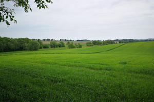 Działka na sprzedaż 795m2 krakowski Kocmyrzów-Luborzyca Wilków - zdjęcie 1