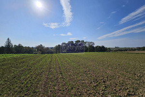 Działka na sprzedaż 5300m2 krakowski Skała Szczodrkowice - zdjęcie 3