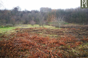 Działka na sprzedaż 2300m2 krakowski Kocmyrzów-Luborzyca Pietrzejowice - zdjęcie 3