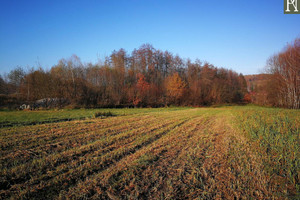 Działka na sprzedaż 8900m2 krakowski Mogilany Lusina - zdjęcie 1