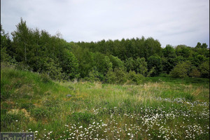 Działka na sprzedaż 6000m2 krakowski Kocmyrzów-Luborzyca Baranówka - zdjęcie 3