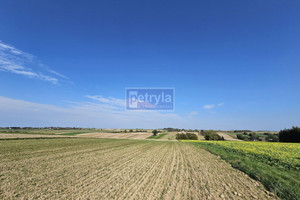 Działka na sprzedaż 5300m2 krakowski Skała Szczodrkowice - zdjęcie 1