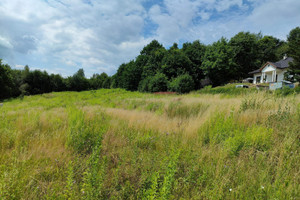 Działka na sprzedaż 8500m2 wielicki Wieliczka - zdjęcie 1