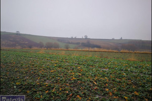 Działka na sprzedaż 31000m2 krakowski Kocmyrzów-Luborzyca Kocmyrzów - zdjęcie 3