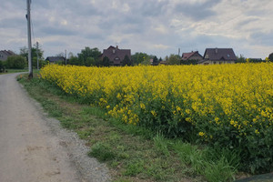 Działka na sprzedaż 3100m2 Kraków Nowa Huta Wolica Brzeska - zdjęcie 3