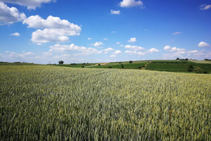 Działka na sprzedaż 8800m2 krakowski Kocmyrzów-Luborzyca Kocmyrzów - zdjęcie 3