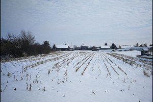 Działka na sprzedaż 4300m2 krakowski Igołomia-Wawrzeńczyce Igołomia - zdjęcie 1