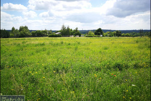 Działka na sprzedaż 900m2 krakowski Michałowice - zdjęcie 2