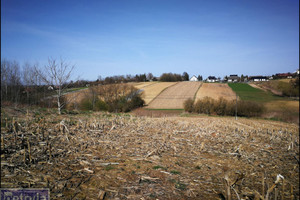 Działka na sprzedaż 2600m2 krakowski Kocmyrzów-Luborzyca Luborzyca - zdjęcie 3