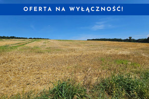 Działka na sprzedaż 1376m2 krakowski Michałowice - zdjęcie 1