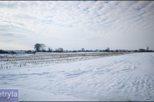 Działka na sprzedaż 3500m2 krakowski Igołomia-Wawrzeńczyce Igołomia - zdjęcie 1