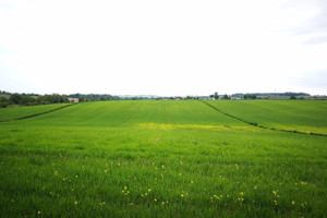 Działka na sprzedaż 795m2 krakowski Kocmyrzów-Luborzyca Wilków - zdjęcie 3