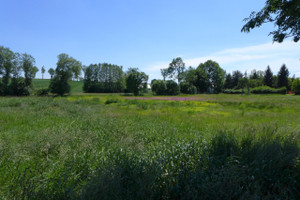 Działka na sprzedaż 2700m2 krakowski Czernichów Czułówek - zdjęcie 3