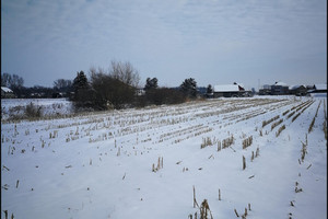 Działka na sprzedaż 4300m2 krakowski Igołomia-Wawrzeńczyce Igołomia - zdjęcie 2