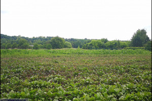 Działka na sprzedaż 1600m2 krakowski Michałowice - zdjęcie 1