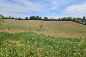 Działka na sprzedaż krakowski Michałowice - zdjęcie 3