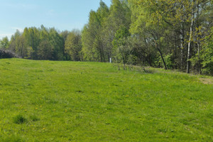 Działka na sprzedaż 7800m2 krakowski Skawina Borek Szlachecki - zdjęcie 3