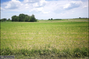 Działka na sprzedaż 1500m2 krakowski Igołomia-Wawrzeńczyce Igołomia - zdjęcie 1