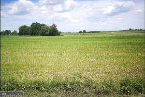 Działka na sprzedaż 1500m2 krakowski Igołomia-Wawrzeńczyce Igołomia - zdjęcie 1