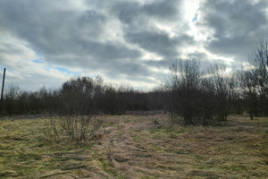 Działka na sprzedaż 20000m2 wielicki Biskupice Bodzanów - zdjęcie 1