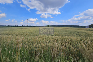 Działka na sprzedaż 10040m2 krakowski Michałowice - zdjęcie 3