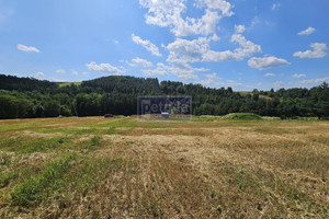 Działka na sprzedaż 1376m2 krakowski Michałowice - zdjęcie 2