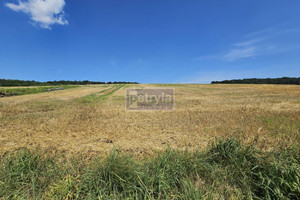 Działka na sprzedaż 1376m2 krakowski Michałowice - zdjęcie 3