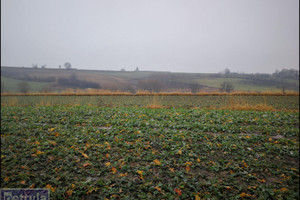 Działka na sprzedaż 31000m2 krakowski Kocmyrzów-Luborzyca Kocmyrzów - zdjęcie 1