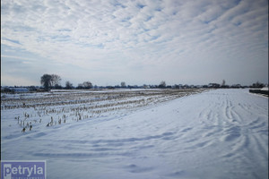 Działka na sprzedaż 3500m2 krakowski Igołomia-Wawrzeńczyce Igołomia - zdjęcie 2