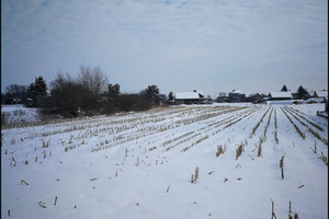 Działka na sprzedaż 4300m2 krakowski Igołomia-Wawrzeńczyce Igołomia - zdjęcie 3