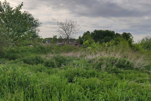 Działka na sprzedaż 9900m2 krakowski Mogilany Lusina - zdjęcie 3