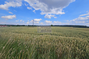 Działka na sprzedaż 10040m2 krakowski Michałowice - zdjęcie 1