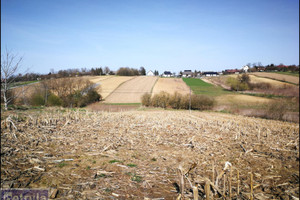 Działka na sprzedaż 2600m2 krakowski Kocmyrzów-Luborzyca Luborzyca - zdjęcie 1