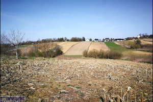 Działka na sprzedaż 2600m2 krakowski Kocmyrzów-Luborzyca Luborzyca - zdjęcie 2