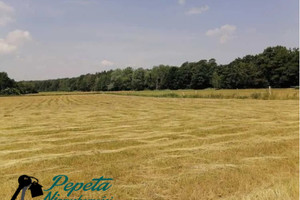 Działka na sprzedaż 10100m2 wągrowiecki Mieścisko Sarbia - zdjęcie 3