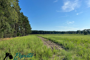 Działka na sprzedaż 1570m2 poznański Kostrzyn Węgierskie - zdjęcie 1