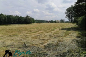 Działka na sprzedaż 10100m2 wągrowiecki Mieścisko Sarbia - zdjęcie 2