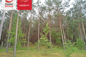 Działka na sprzedaż 3287m2 tucholski Tuchola Legbąd Szkolna - zdjęcie 3