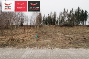 Działka na sprzedaż 962m2 Gdańsk Kokoszki Grzybowa - zdjęcie 1