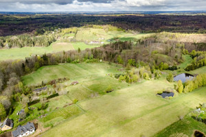 Działka na sprzedaż 38151m2 gdański Przywidz Jodłowno - zdjęcie 3