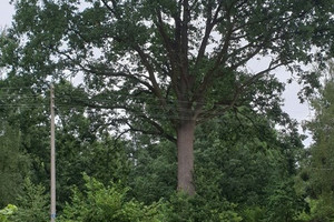 Działka na sprzedaż otwocki Józefów Podchorążych AK - zdjęcie 1