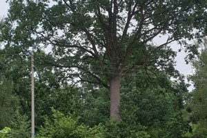 Działka na sprzedaż 2000m2 otwocki Józefów Podchorążych AK - zdjęcie 3