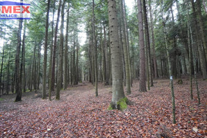 Działka na sprzedaż 17600m2 dębicki Jodłowa - zdjęcie 3