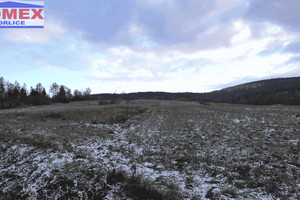 Działka na sprzedaż 9700m2 gorlicki Sękowa Wapienne - zdjęcie 3