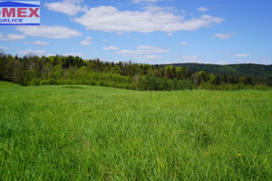 Działka na sprzedaż 3100m2 gorlicki Lipinki - zdjęcie 1