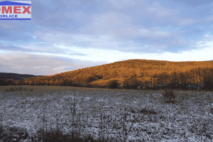 Działka na sprzedaż 9700m2 gorlicki Sękowa Wapienne - zdjęcie 2