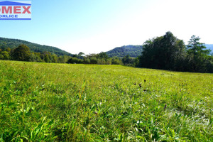 Działka na sprzedaż 2930m2 gorlicki Lipinki Bednarka - zdjęcie 2