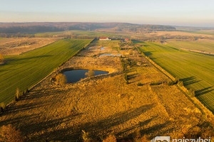 Dom na sprzedaż 927m2 gryfiński Stare Czarnowo - zdjęcie 3