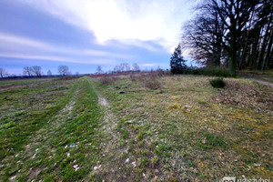 Działka na sprzedaż 2649m2 goleniowski Nowogard - zdjęcie 2